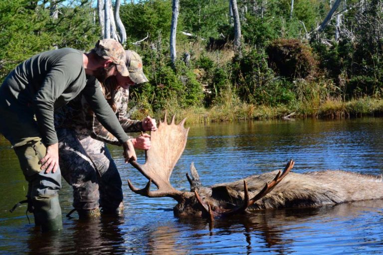 Gallery - Ironbound Lake Outfitters
