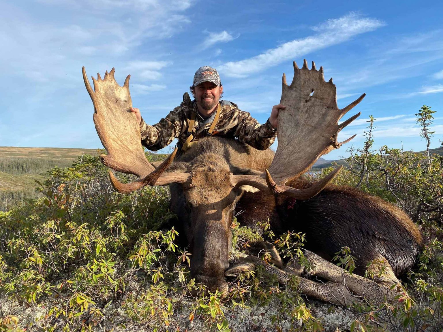 moose hunting trips newfoundland